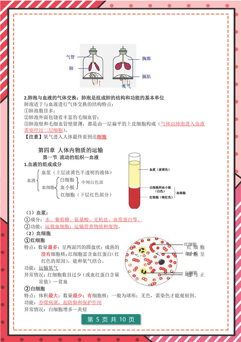 七年级下册 生物 高频考点_页面_05.jpg 地理+生物-答题模板--七年级下册